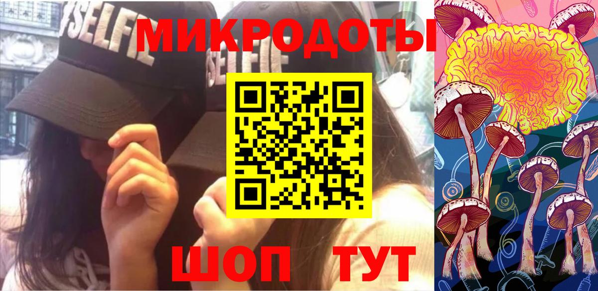 Шебекино  Псилоцибиновые грибы прущие грибы  Вход с VPN  где купить наркоту  Псилоцибиновые грибы Psilocybe 